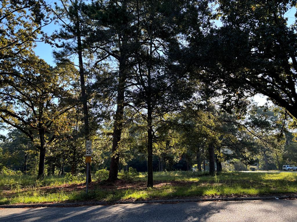 407 Haven Dr, Dothan, AL 36301 - photo 1