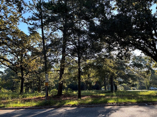 407 Haven Dr, Dothan, AL 36301 - photo 1