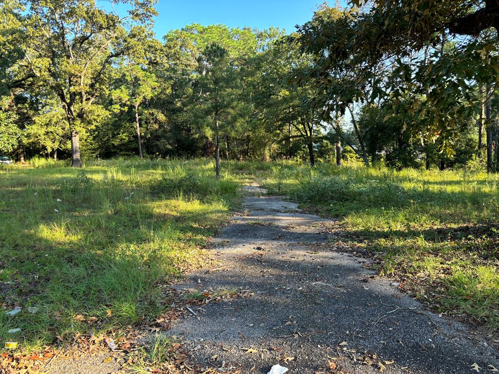 407 Haven Dr, Dothan, AL 36301 - photo 4