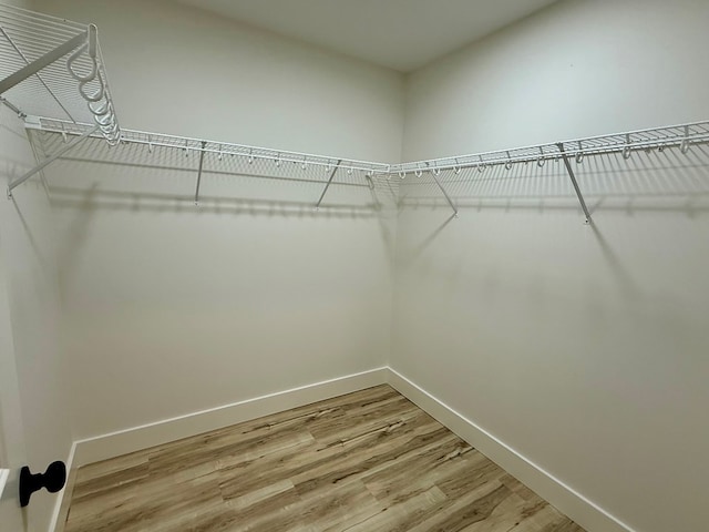 spacious closet featuring wood-type flooring