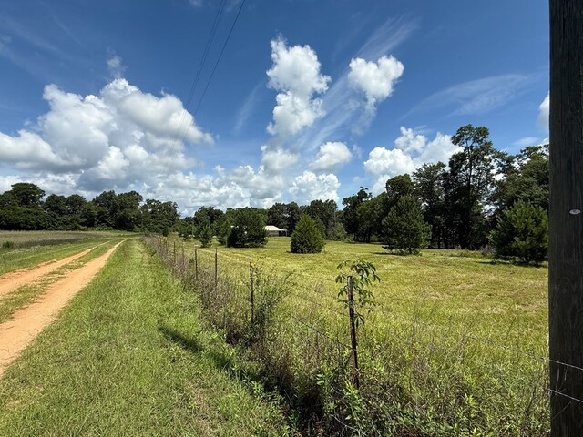 245 County Road 422, Abbeville, AL 36310 - view of yard featuring a rural view and driveway