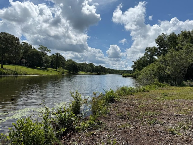 245 County Road 422, Abbeville, AL 36310 - water view featuring a forest