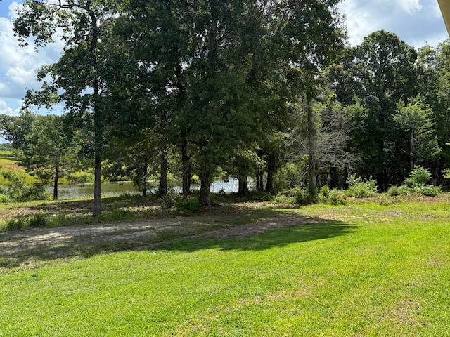245 County Road 422, Abbeville, AL 36310 - view of green lawn