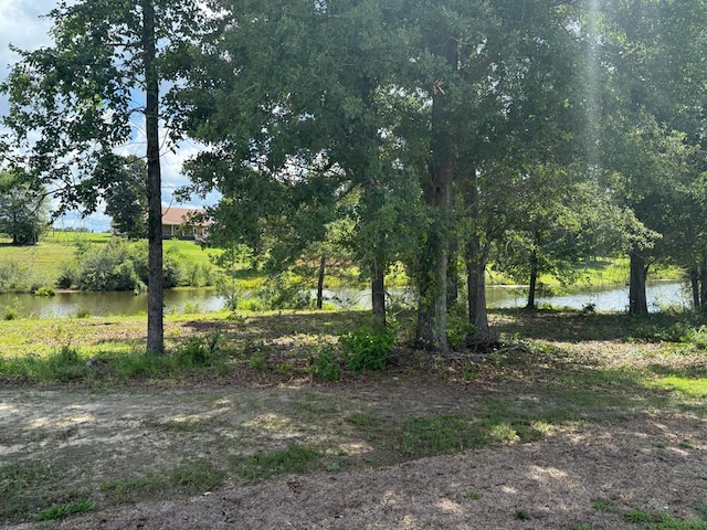 245 County Road 422, Abbeville, AL 36310 - view of yard featuring a water view