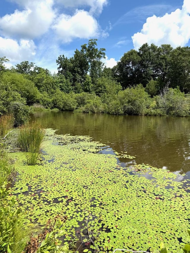 245 County Road 422, Abbeville, AL 36310 - water view