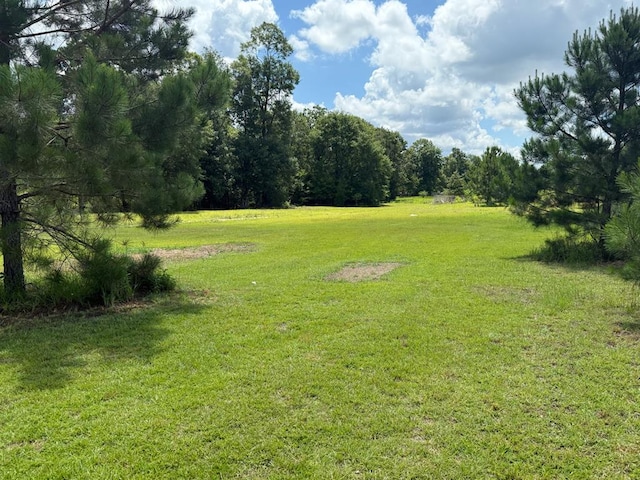 245 County Road 422, Abbeville, AL 36310 - view of green lawn