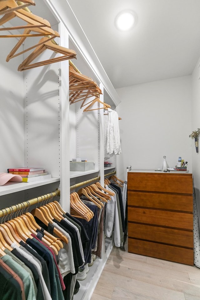 481 Grace Dr, Newton, AL 36352 - walk in closet featuring wood finished floors