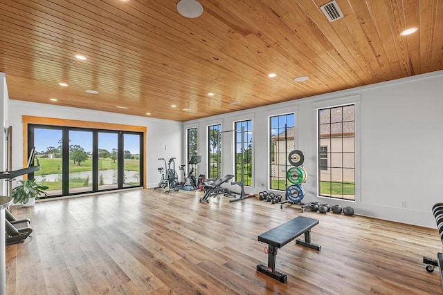 481 Grace Dr, Newton, AL 36352 - exercise room with wood ceiling, healthy amount of natural light, wood finished floors, recessed lighting, and a water view