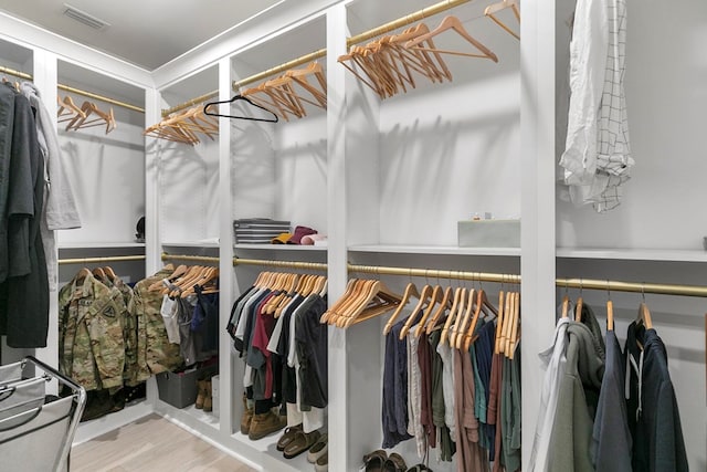 481 Grace Dr, Newton, AL 36352 - spacious closet featuring wood finished floors