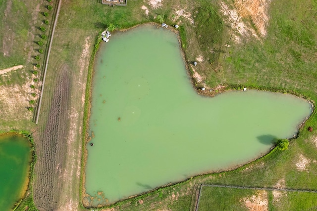 481 Grace Dr, Newton, AL 36352 - bird's eye view of a large body of water