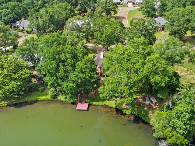 3602 Lake Oak Ridge Dr, Enterprise, AL 36330 - bird's eye view