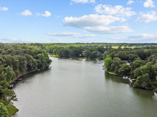 3602 Lake Oak Ridge Dr, Enterprise, AL 36330 - water view featuring a forest