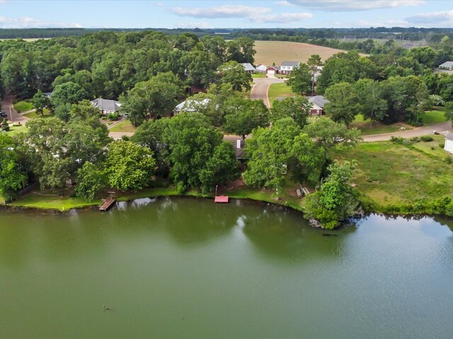 3602 Lake Oak Ridge Dr, Enterprise, AL 36330 - aerial view of a nearby body of water