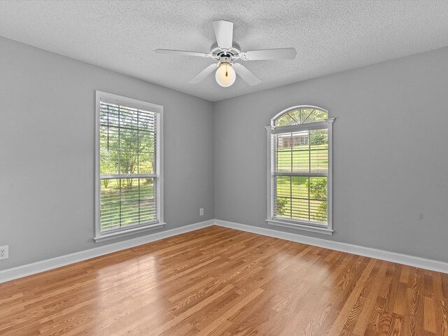 3602 Lake Oak Ridge Dr, Enterprise, AL 36330 - empty room featuring healthy amount of natural light, light wood-style floors, a textured ceiling, and baseboards
