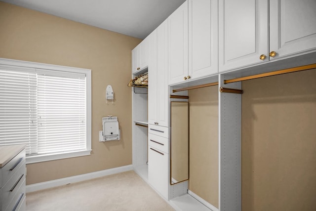 spacious closet with light carpet