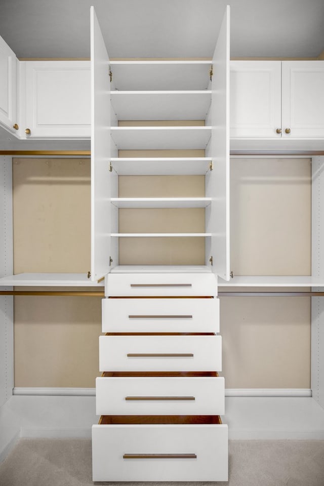 walk in closet featuring carpet floors