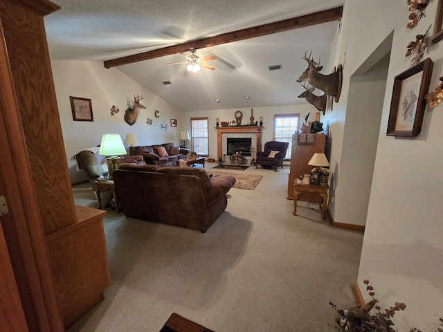 11653 S County Road 33, Dothan, AL 36301 - photo 17