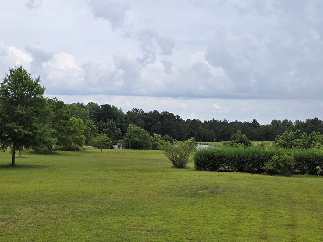 11653 S County Road 33, Dothan, AL 36301 - photo 34