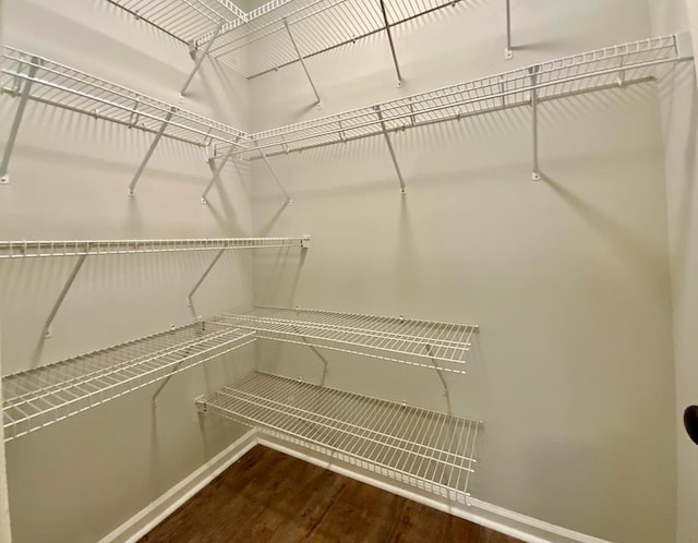 30 Cotton Creek Blvd, Enterprise, AL 36330 - walk in closet featuring wood finished floors