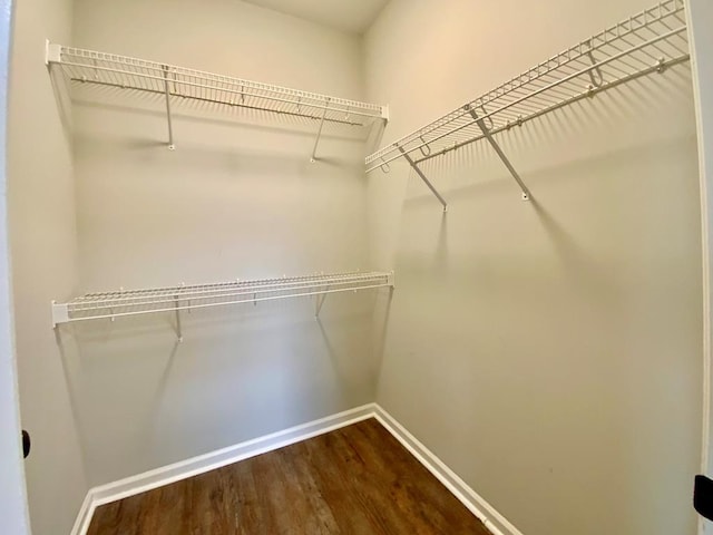 30 Cotton Creek Blvd, Enterprise, AL 36330 - walk in closet with dark wood-style flooring