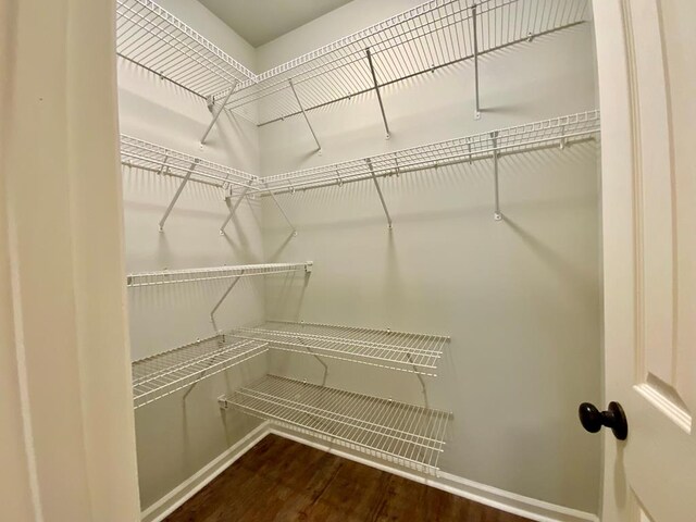 30 Cotton Creek Blvd, Enterprise, AL 36330 - walk in closet with dark wood finished floors