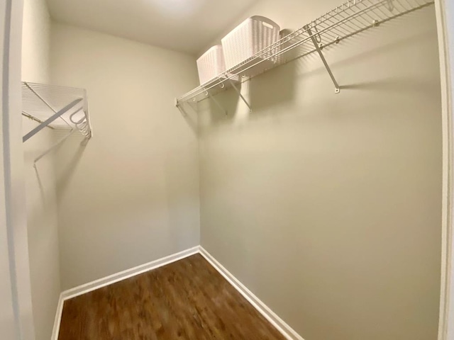 30 Cotton Creek Blvd, Enterprise, AL 36330 - walk in closet featuring dark wood-style floors