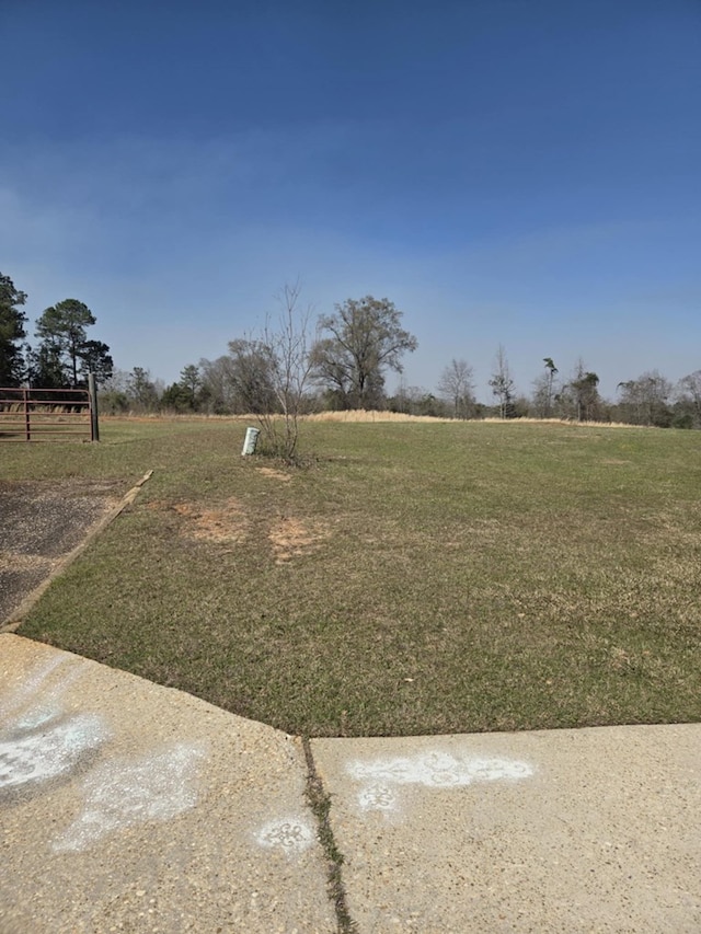 view of yard with a rural view