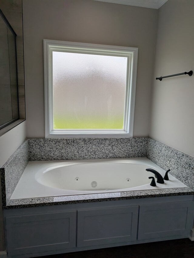 12589 Fortner St, Newton, AL 36352 - bathroom featuring a tub with jets