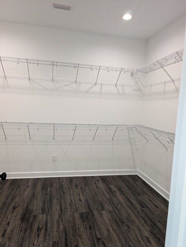 12589 Fortner St, Newton, AL 36352 - walk in closet with dark wood-type flooring