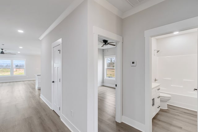 corridor with crown molding, a healthy amount of sunlight, and light hardwood / wood-style floors