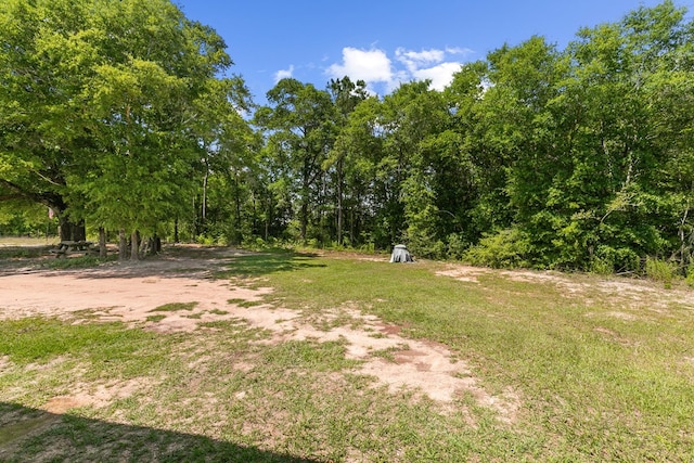806 County Road 14, Midland City, AL 36350 - view of grassy yard