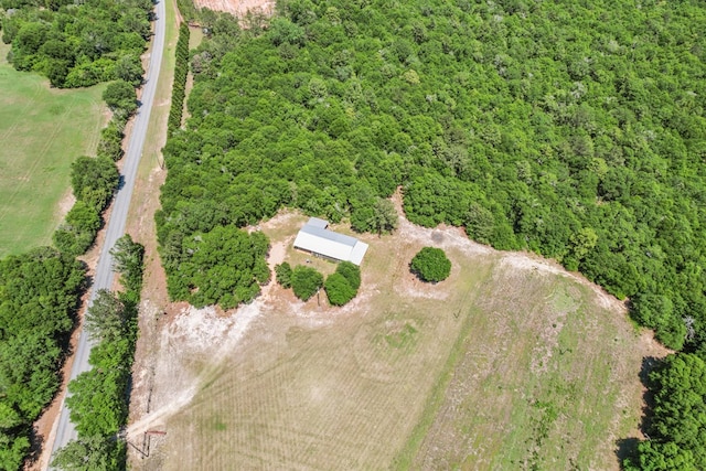 806 County Road 14, Midland City, AL 36350 - view of property location featuring a forest