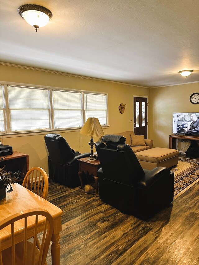 living room featuring hardwood / wood-style flooring