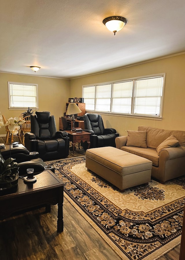 living room with hardwood / wood-style floors and ornamental molding