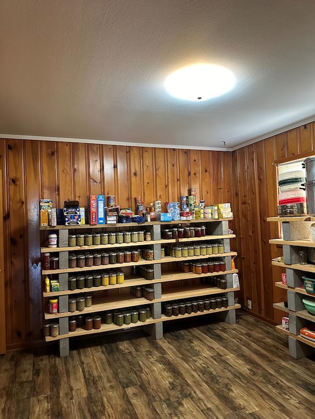 interior space with wood walls and dark hardwood / wood-style flooring