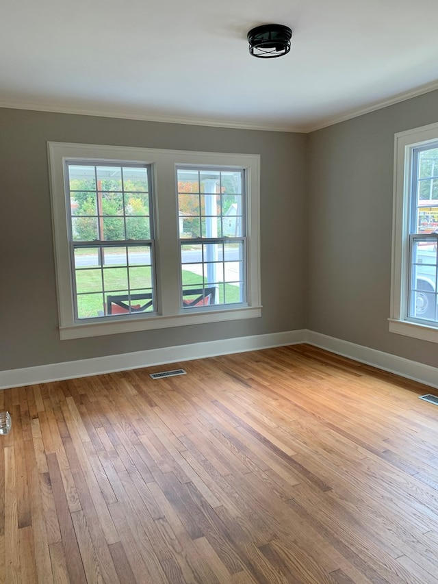 empty room featuring plenty of natural light, light hardwood / wood-style floors, and ornamental molding