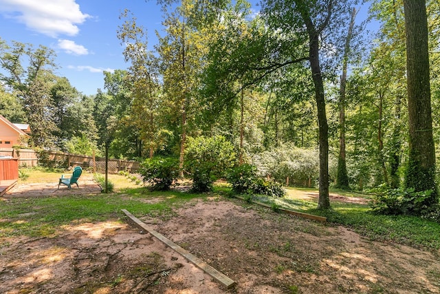 102 Lindsey Ln, Dothan, AL 36305 - view of yard with fence