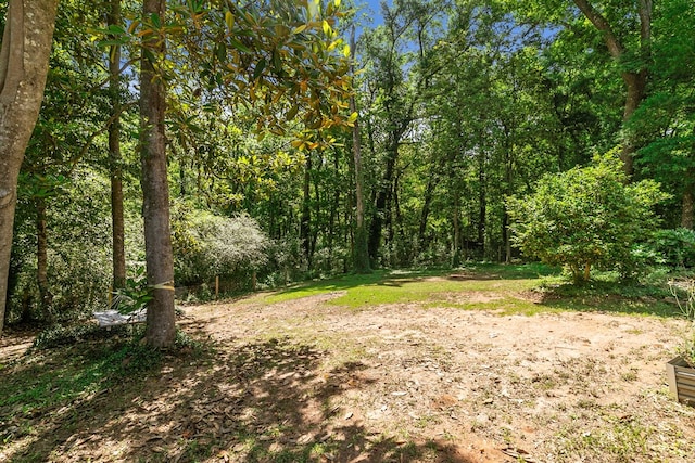 102 Lindsey Ln, Dothan, AL 36305 - view of woods