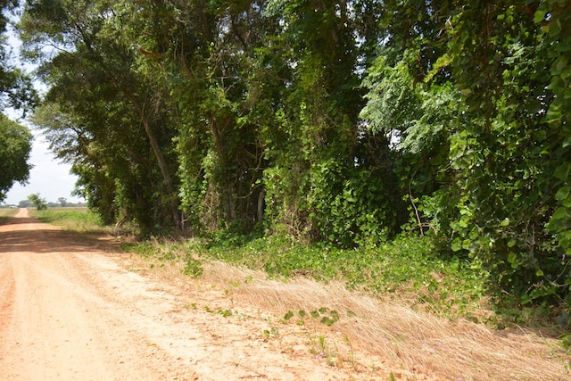 0 Hollis Dairy Rd, Newton, AL 36352