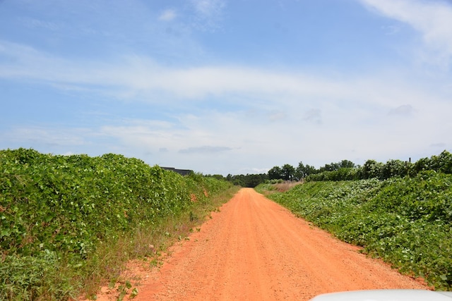 0 Hollis Dairy Rd, Newton, AL 36352