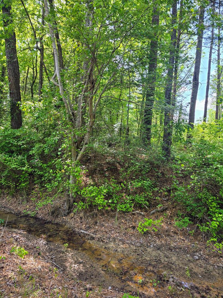 279 County Road 53, Skipperville, AL 36374