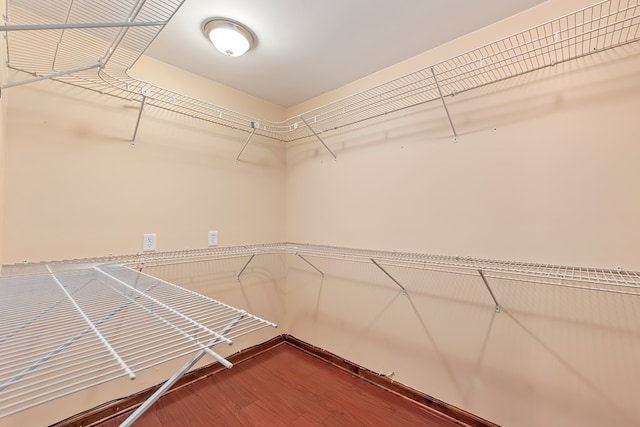 walk in closet featuring wood-type flooring