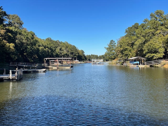 property view of water featuring a boat dock