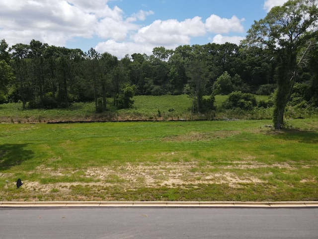 226 Golden Oaks Cir, Dothan, AL 36301 - photo 5
