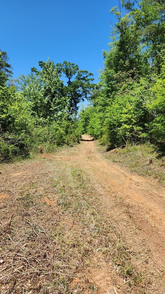 Listing photo 3 for 68ACRES County Line Rd, Dothan AL 36305