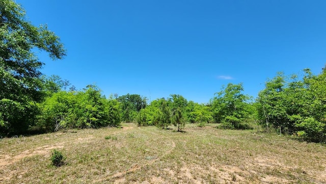 68ACRES County Line Rd, Dothan AL, 36305 land for sale