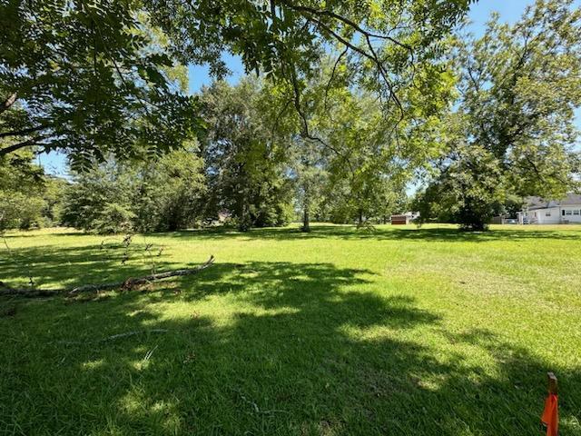 PARCELF Brookline St, Midland City AL, 36350 land for sale