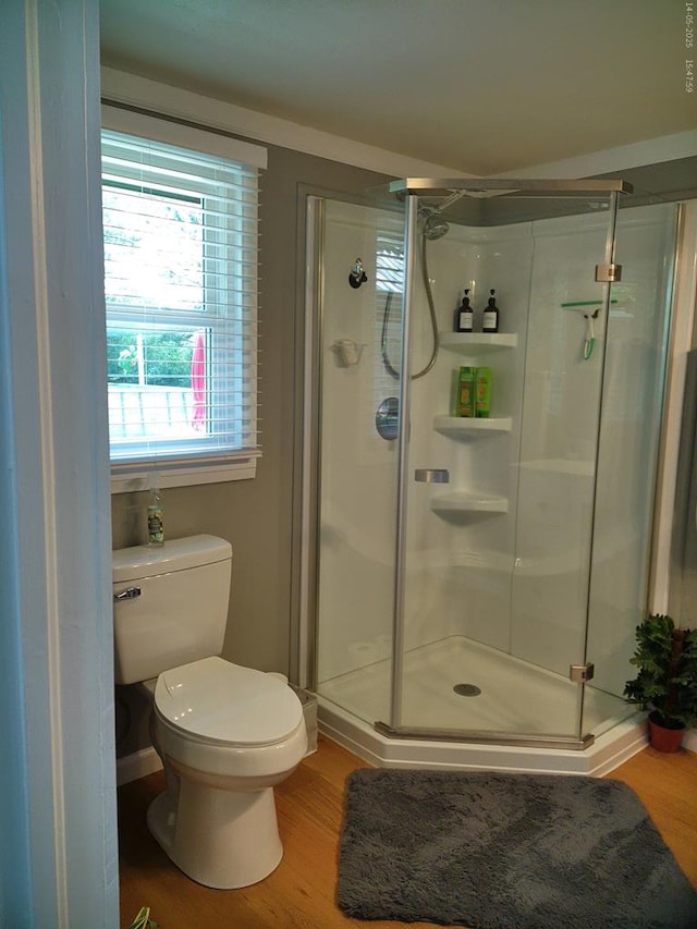 4301 County Road 156, Enterprise, AL 36330 - bathroom featuring a stall shower, wood finished floors, toilet, and baseboards
