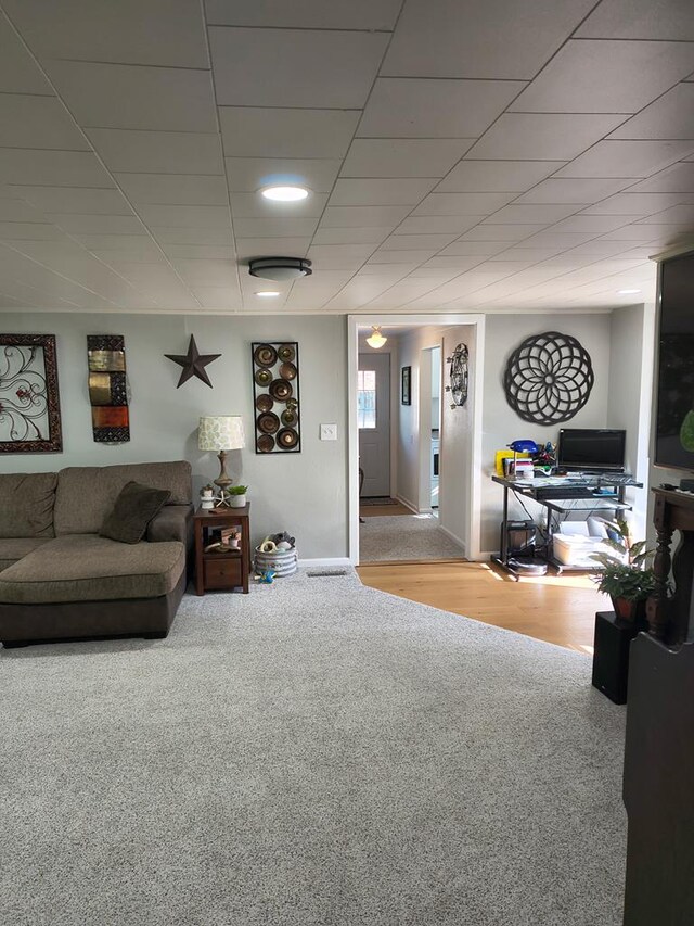 4301 County Road 156, Enterprise, AL 36330 - living room with carpet flooring and baseboards