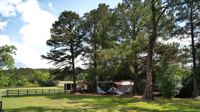 4301 County Road 156, Enterprise, AL 36330 - view of yard